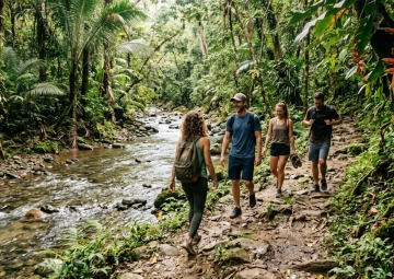 Ruta Río Cedro – Bosque de Cacao